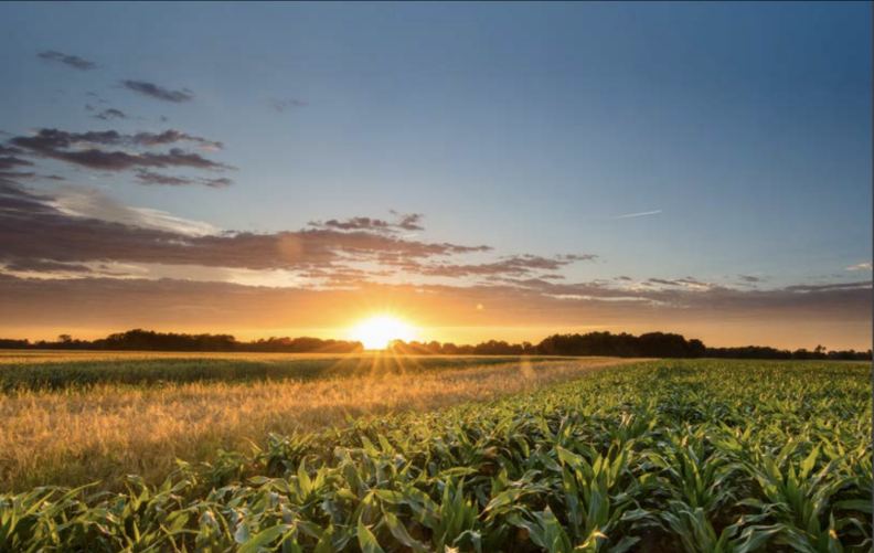 AgCarolina Farm & Country Summer Issue July 2023